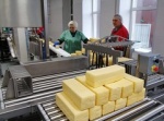 Ярославская область: в Первомайском районе запустили линию по производству мягких сыров 
