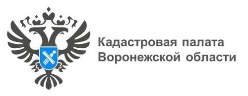 В сентябре в Воронежской области установили рекорд по внесению территориальных зон в ЕГРН