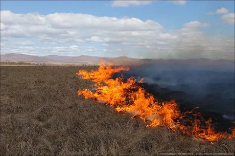 Выжигание сухой травянистой растительности - причина пожаров