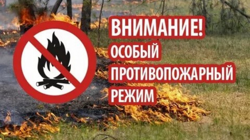 На территории Орловской области введен особый противопожарный режим