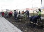 В Пермском крае появился сквер ветеранов боевых действий