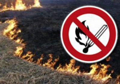 Требования пожарной безопасности при уборке зерновых культур