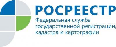 Кадастровая палата по Воронежской области проведет горячую линию по вопросам приема и выдачи документов