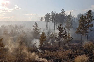 Чрезвычайная пожарная опасность лесов 