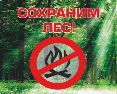 Об ответственности за нарушения требований правил пожарной безопасности в лесах
