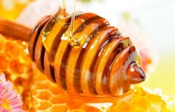 Пчелиный мед – польза или вред для здоровья?