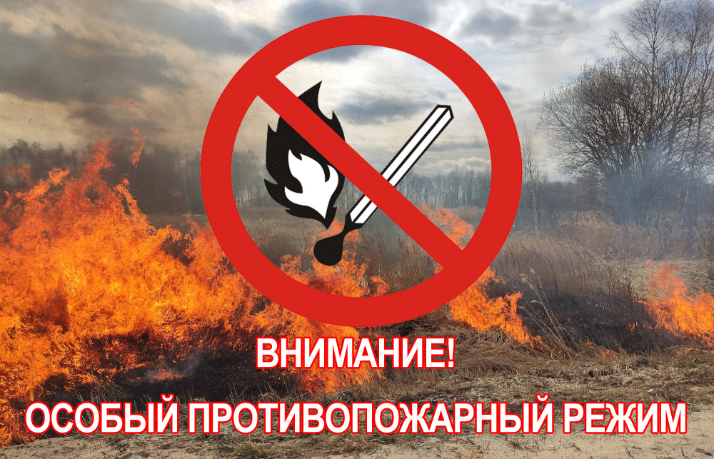 С 17 апреля 2023 г. на территории Воронежской области введен особый противопожарный режим!