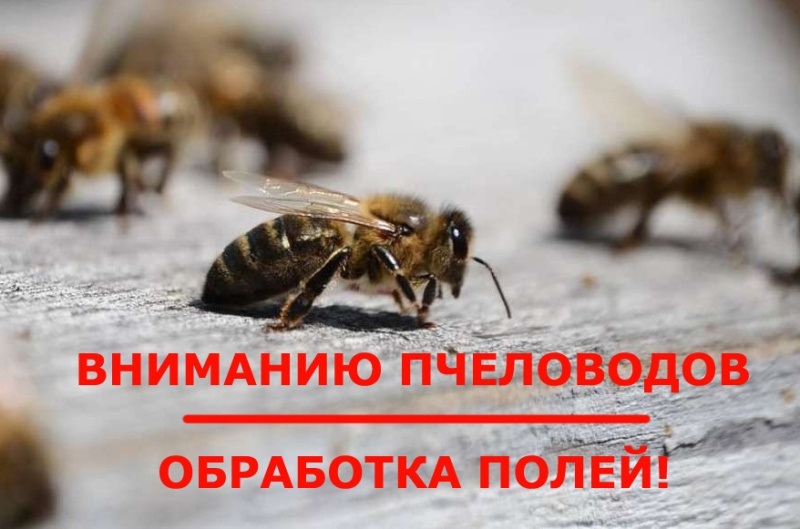 Вниманию пчеловодов и владельцев ЛПХ !