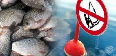 Запрет рыбной ловли