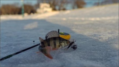 Приглашаем на соревнования по зимней рыбалке