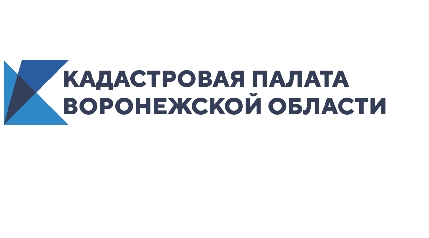 Граница между Воронежской и Волгоградской областями внесена в ЕГРН