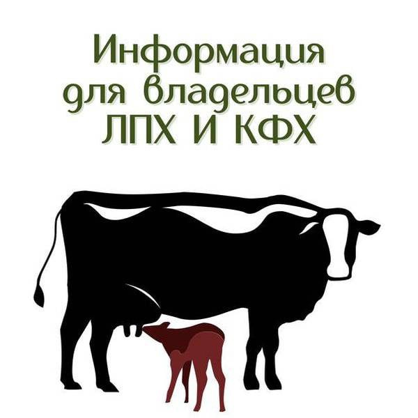 с 01 сентября 2022 года запрещается подворный забой скота