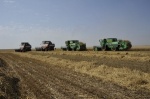 Правительство Волгоградской области выделяет дополнительную поддержку волгоградским аграриям
