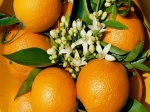 Шлют грузины апельсины