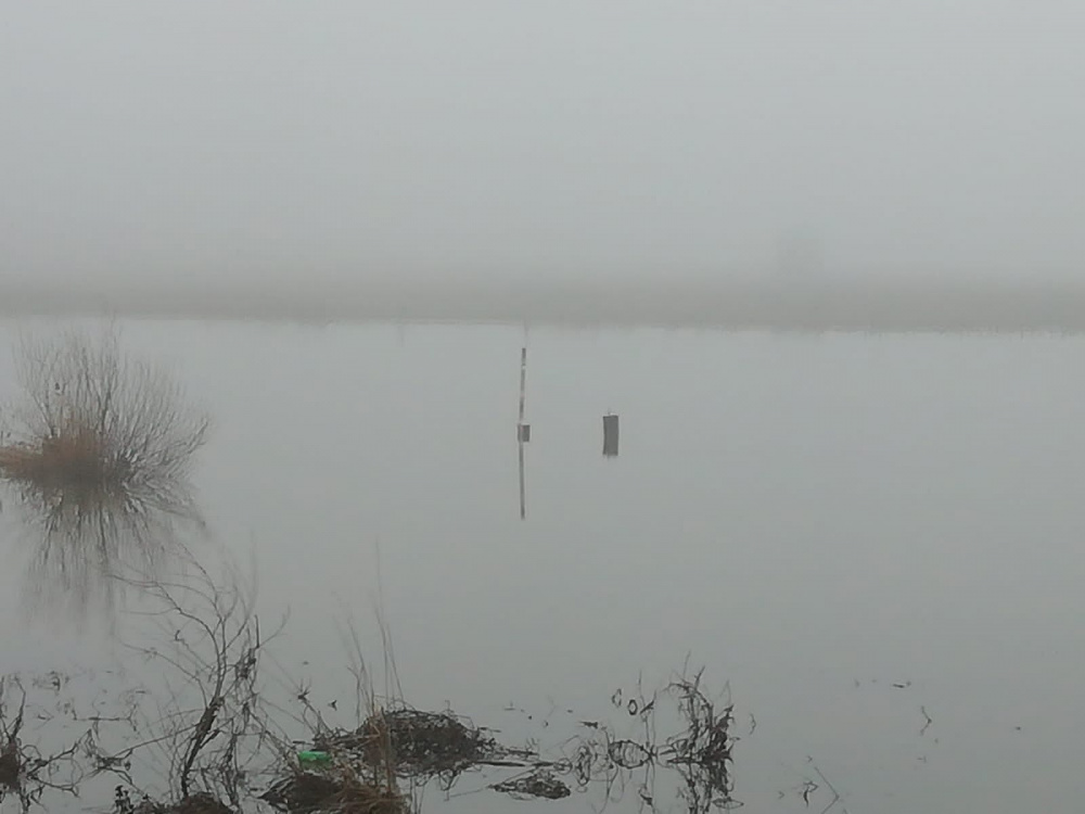 Петропавловка. Уровень воды в р. Толучеевка опустился до уровня 1 м. 50 см.
