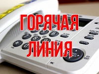 В Кущевском районе работает "Горячая линия" по вопросам подключения цифрового ТВ.