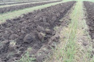 Вологодская область: череповецке многодетные семьи получают земельные участки