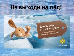 МЧС предупреждает: выход на тонкий лед опасен для жизни!
