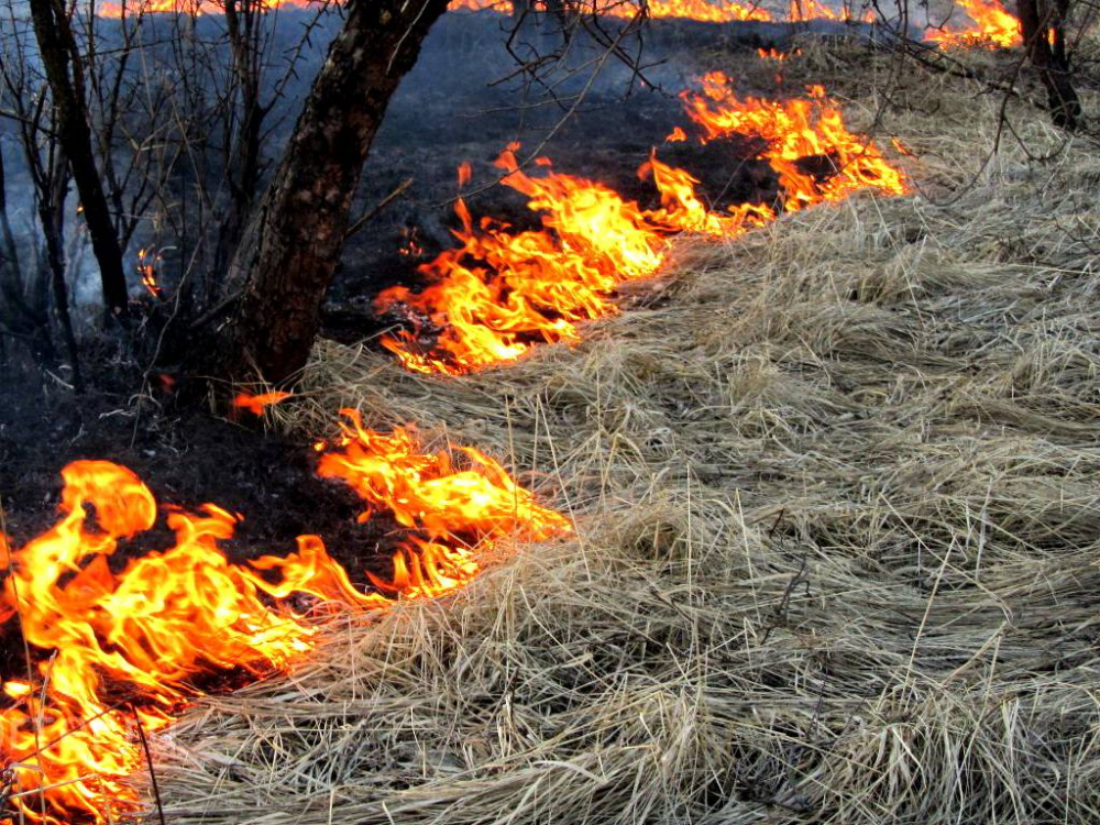 Начало пожароопасного сезона в Воронежской области  с 1 апреля 2022 года.