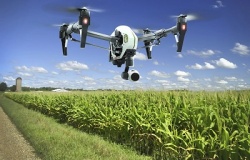 Коровы-роботы и растения с самополивом: какие цифровые изменения произойдут ждут в сельскохозяйственном сектор в ближайшем будущем?