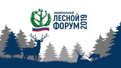 В Кирове состоялся III межрегиональный Лесной форум