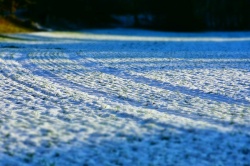 Снегозадержание - как важнейший агротехнический прием