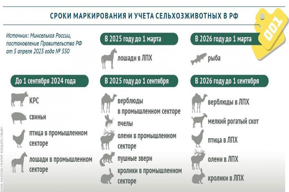 ГБУ КО «Жуковская ветстанция» доводит до Вашего сведения что с 1 марта 2024года в силу вступают новые правила маркирования и учета животных в ветеринарии