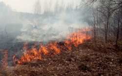 Пал сухой травы приводит к масштабным пожарам