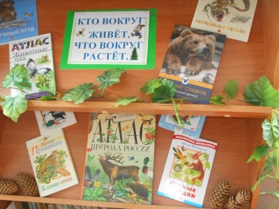 Развивают экологическую грамотность детей.