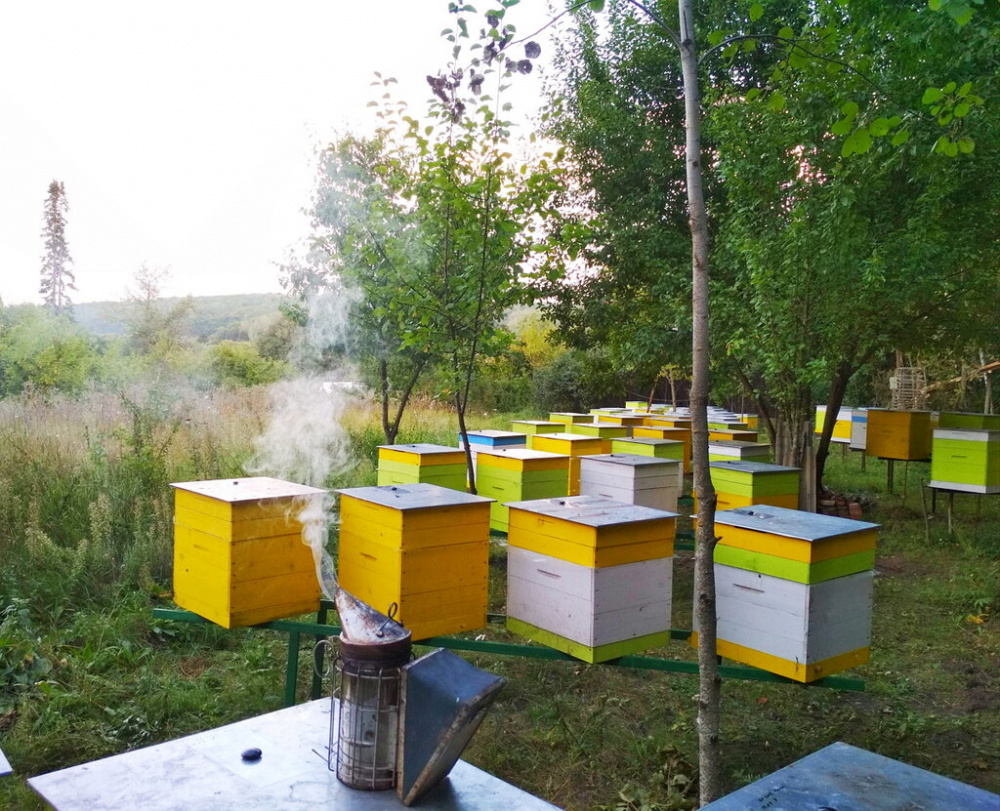 Памятка сельхозтоваропроизводителям и пчеловодам «Об обеспечении безопасности пасек при применении пестицидов»