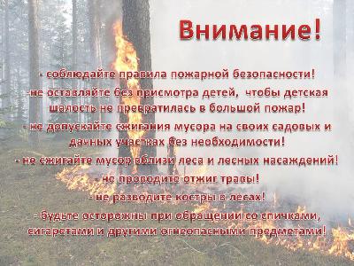 В Бутурлиновском районе установился V класс пожарной опасности