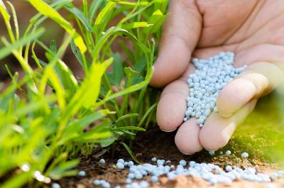 Удобрения – основа повышения плодородия почв