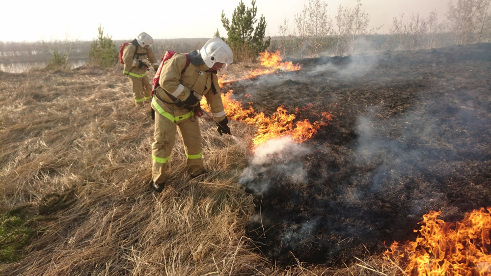 С 15 апреля в Самарской области вводится особый противопожарный режим
