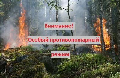 В Воронежской области сохраняется особый противопожарный режим