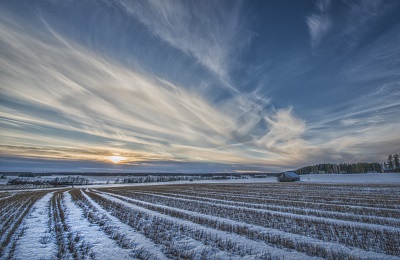 Снегозадержание как важный фактор повышения урожайности сельскохозяйственных культур 