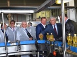 Ростовская область занимает первое место в России по производству растительного масла