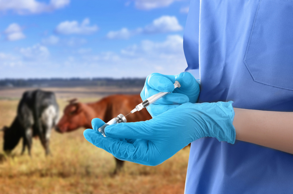 Весенние ветеринарные противозоотические мероприятия КРС   