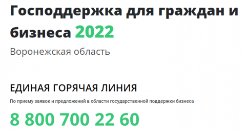 Господдержка для граждан и бизнеса 2022