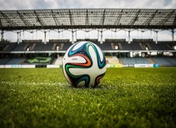 Воронежские стадионы реконструируют к Чемпионату мира по футболу