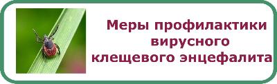 В Управлении Роспотребнадзора по Самарской области стартует Всероссийская «горячая» линия по профилактике клещевого энцефалита с 16 по 27 мая 2022 года