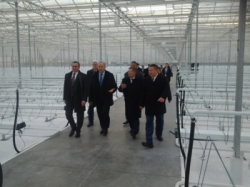 Министр сельского хозяйства посетил одно из сильнейших тепличных хозяйств Саратовской области