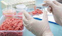 Пищевая революция: мясо из пробирки, растительного белка и копия на 3D-принтере