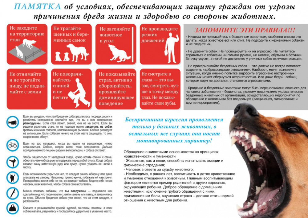 ПАМЯТКА об условиях, обеспечивающих защиту граждан от угрозы причинения вреда жизни и здоровью со стороны животных