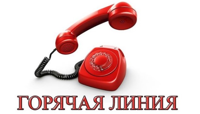 16 октября 2019 года в Кадастровой палате по Тульской области состоится телефонная горячая линия