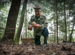  Памятка грибникам: как не заблудиться в лесу