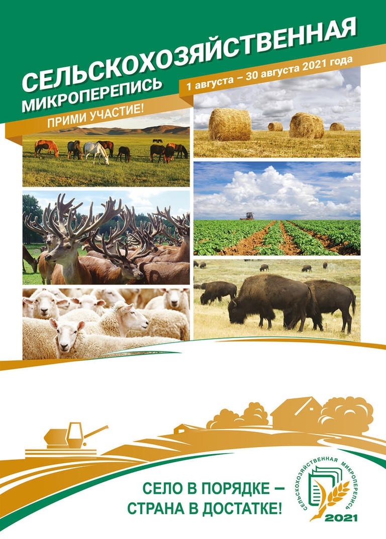 Информация о ходе сельскохозяйственной микропереписи на территории Кущевского района