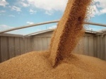 В Зауралье появится завод по глубокой переработке зерна
