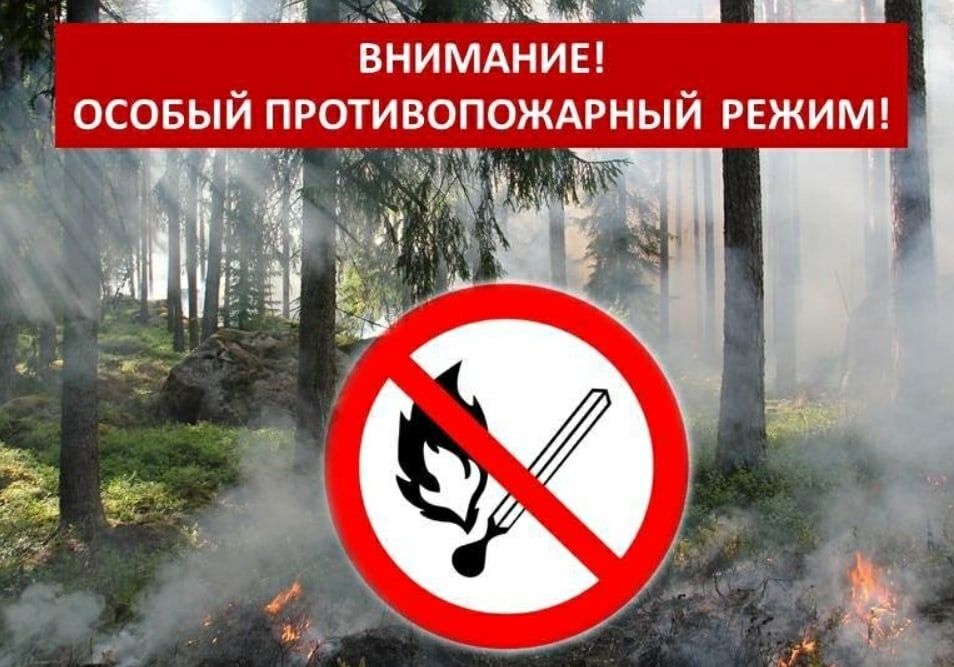 Правила пожарной безопасности при разведении костров для сжигания мусора на садовых, дачных и приусадебных участках