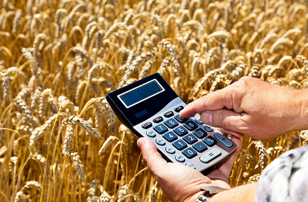Комитет сельского хозяйства Волгоградской области по вопросу предоставления льготного краткосрочного кредита по ставке не более 5%.