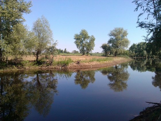 В волгоградском регионе экологи оценили заполняемость Волго-Ахтубинской поймы